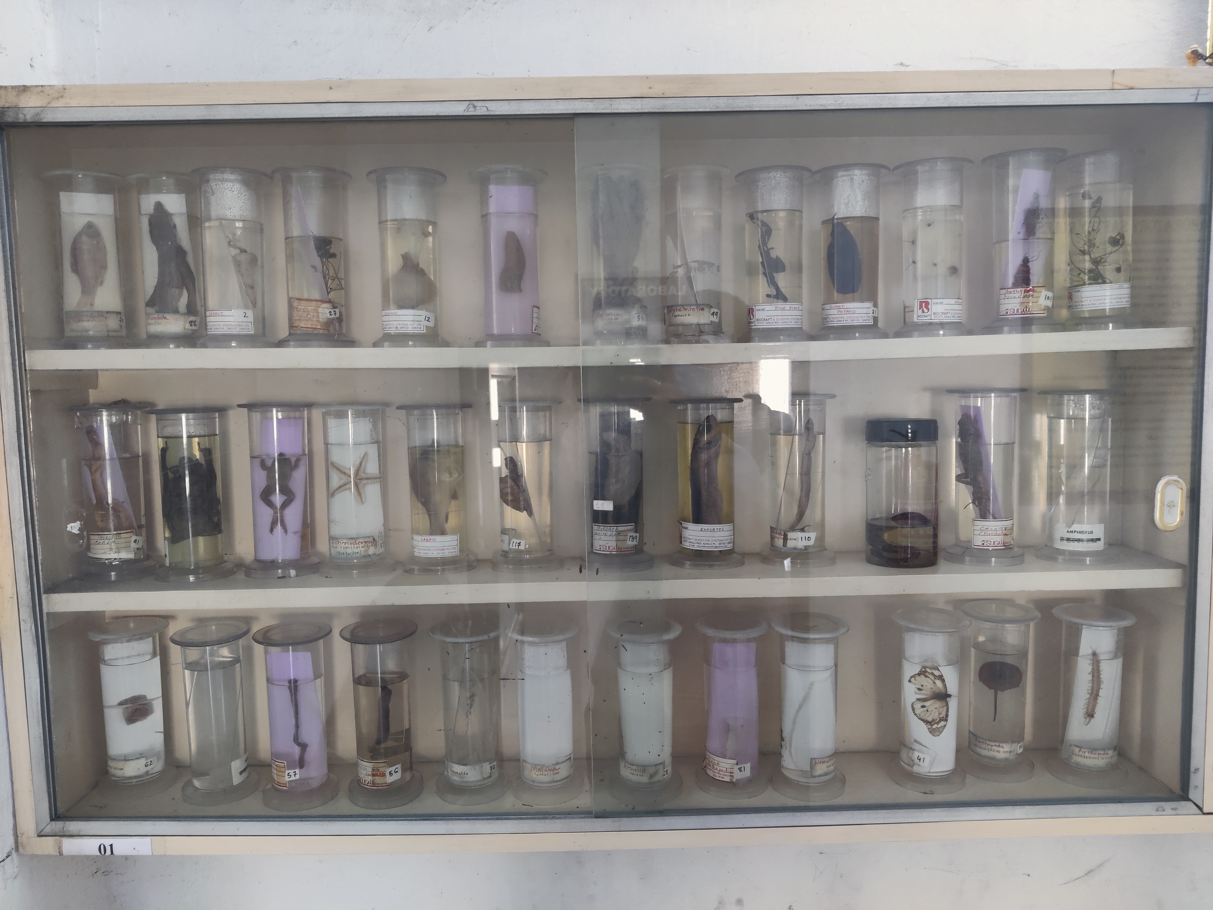 LABORATORY