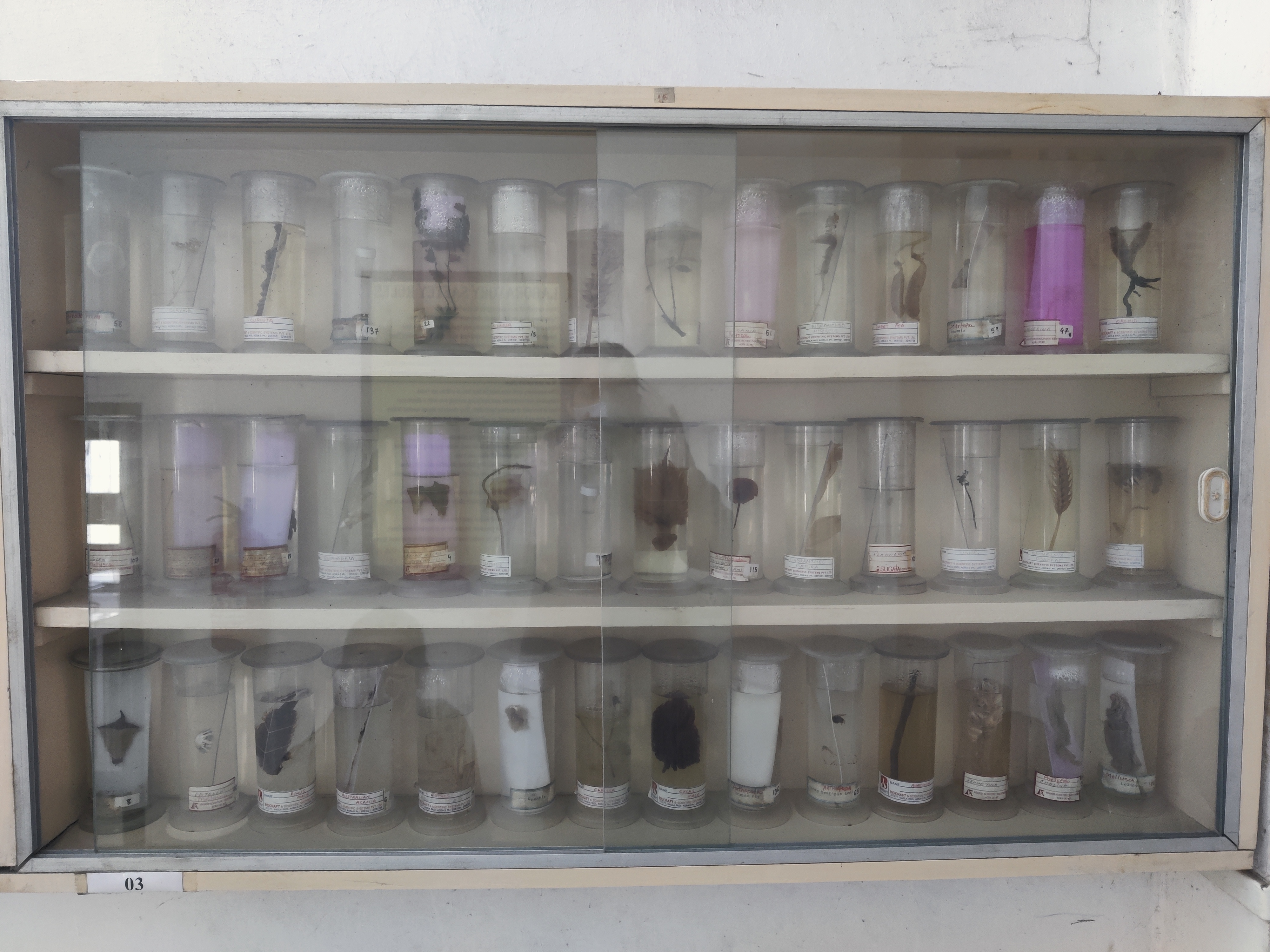 LABORATORY