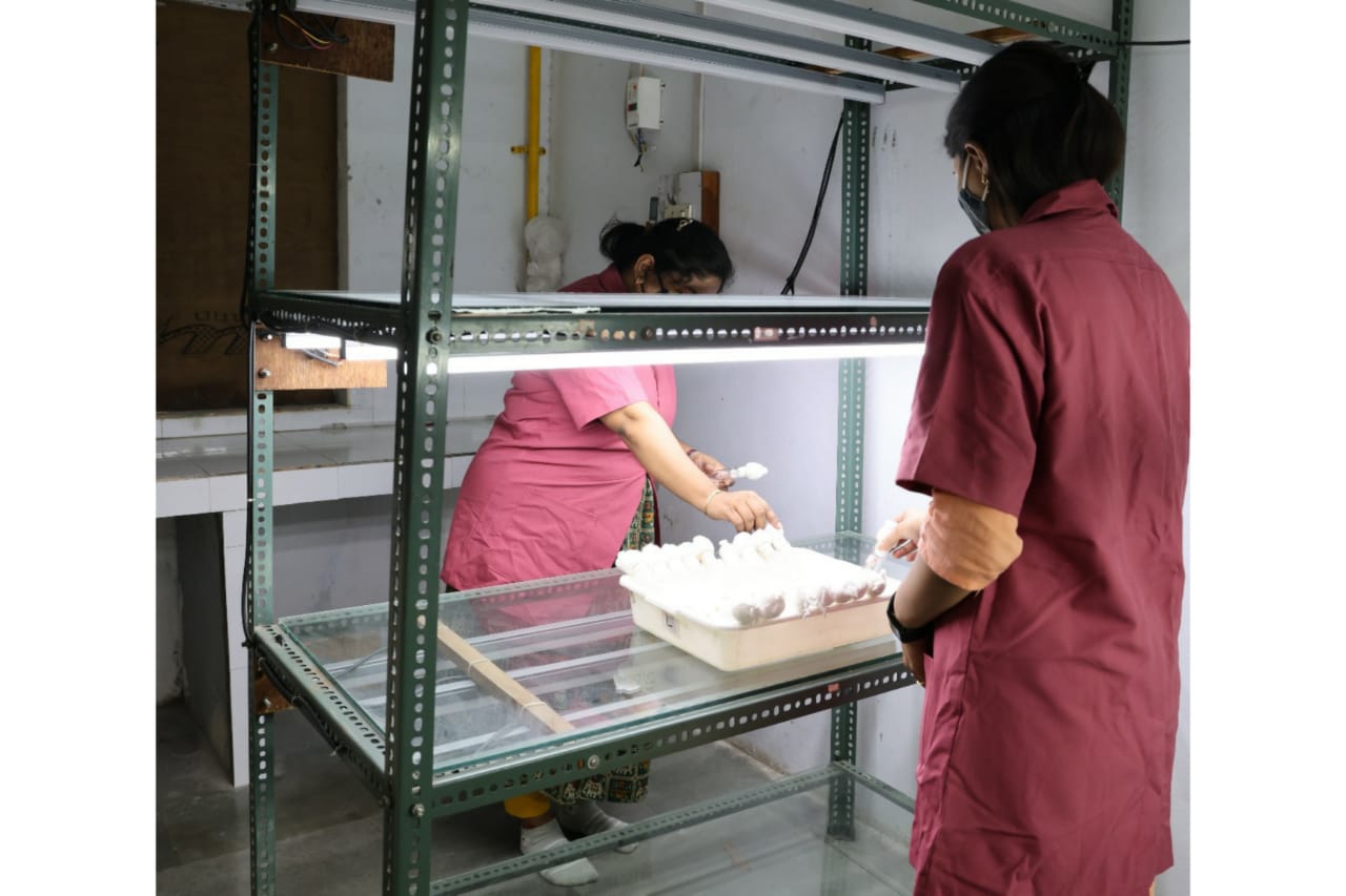 LABORATORY