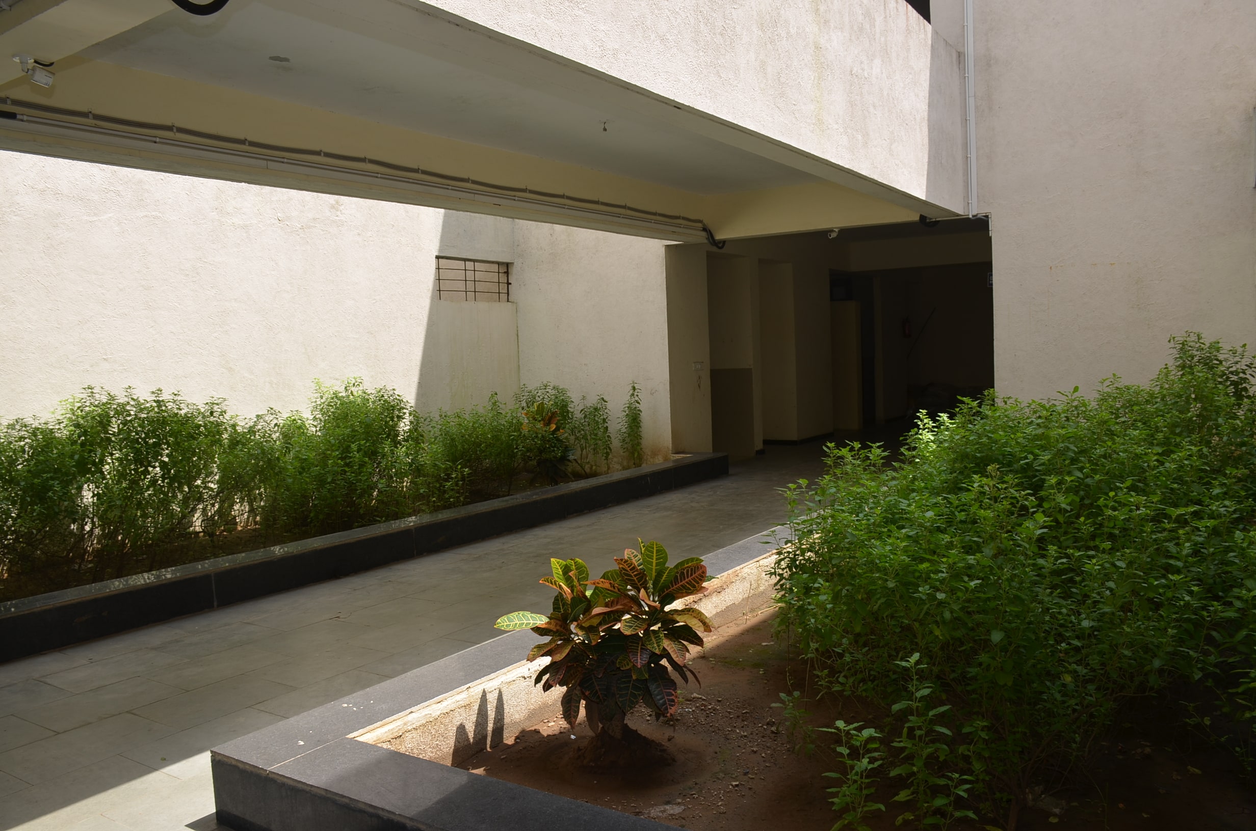 CAMPUS