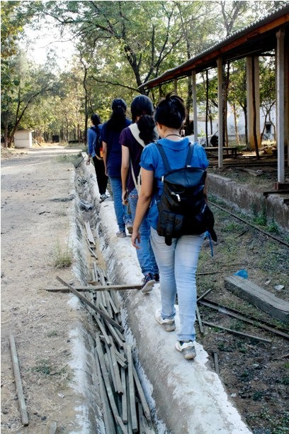 CO CIRCULAR ACTIVITIES