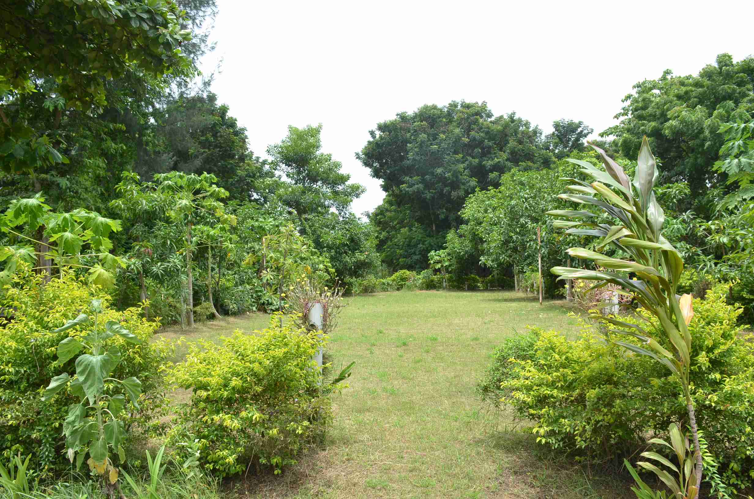 CAMPUS