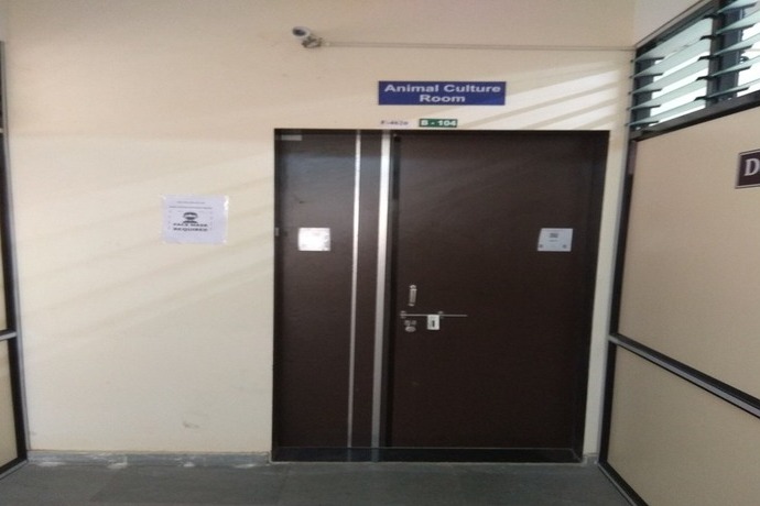 Animal Culture Room